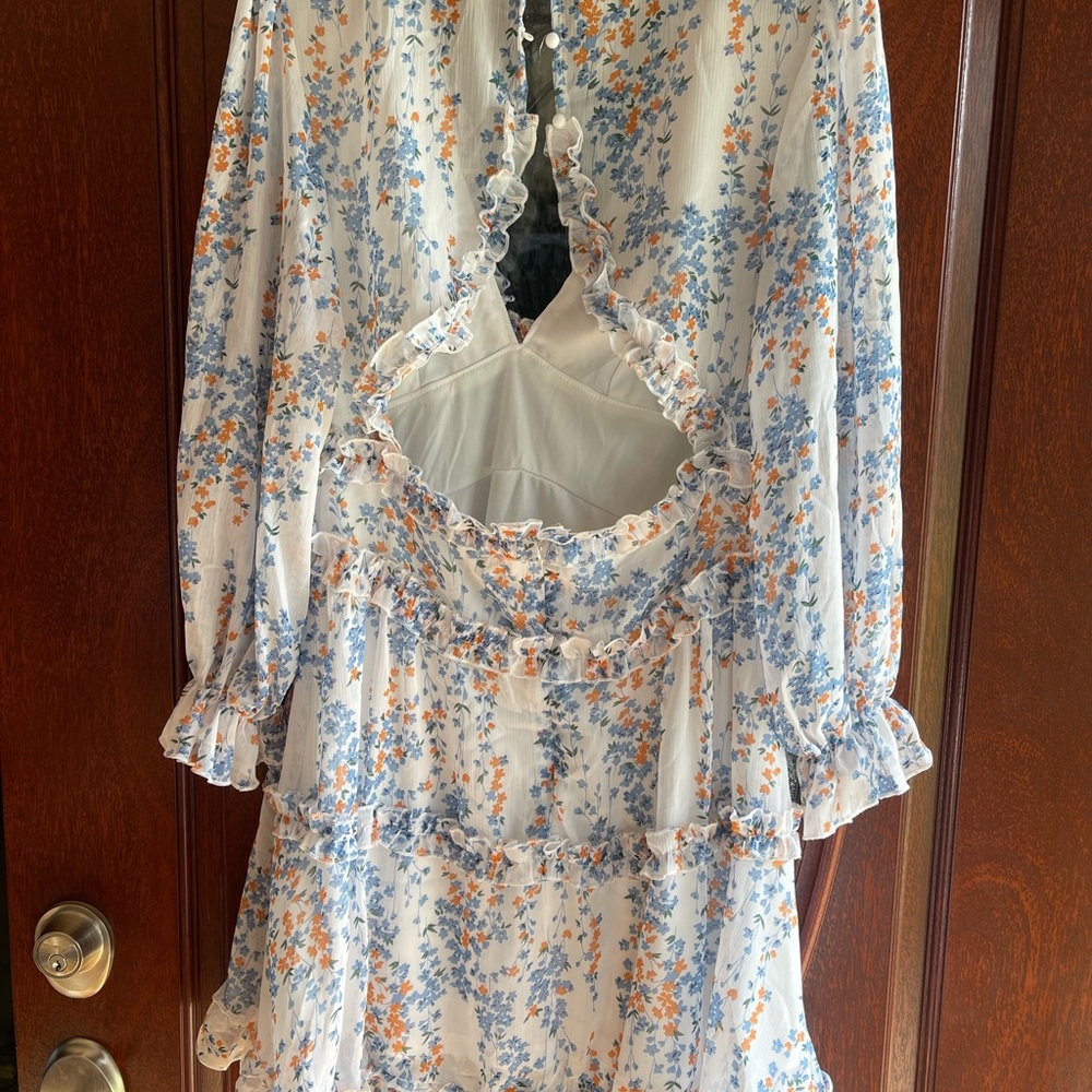 Chic Ruffled Floral Long Sleeve Dress - Picture 4 of 6